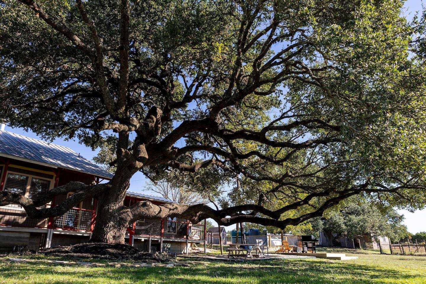 1901 Harmon Hills Rd, Dripping Springs, TX 78620