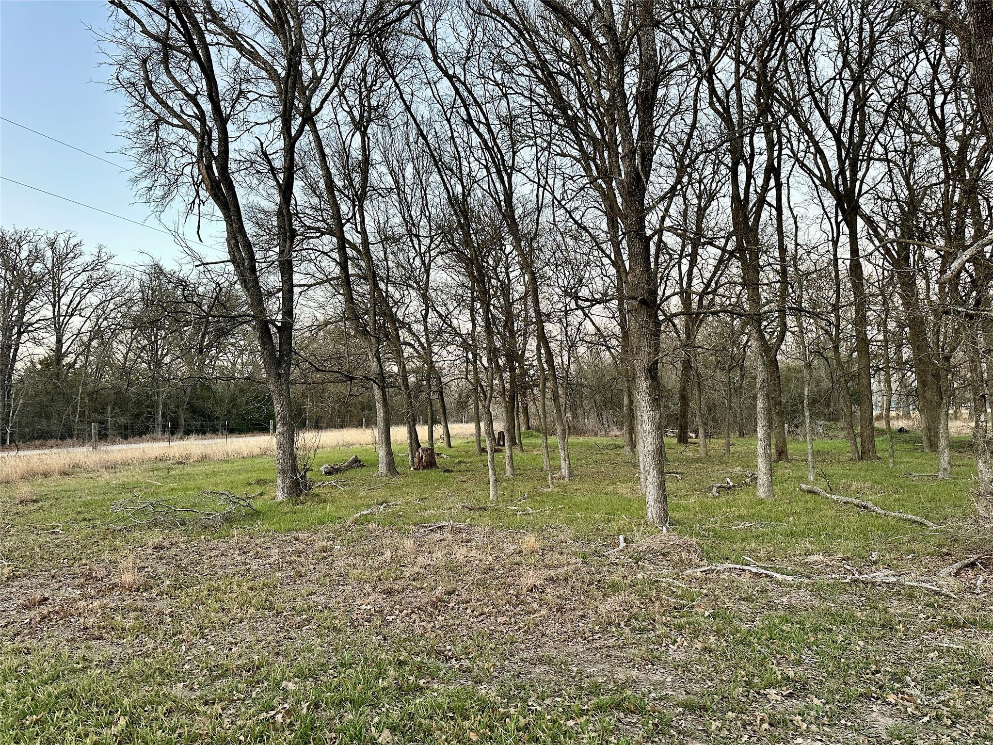 TBD CR 118 Rd, Giddings, TX 78942