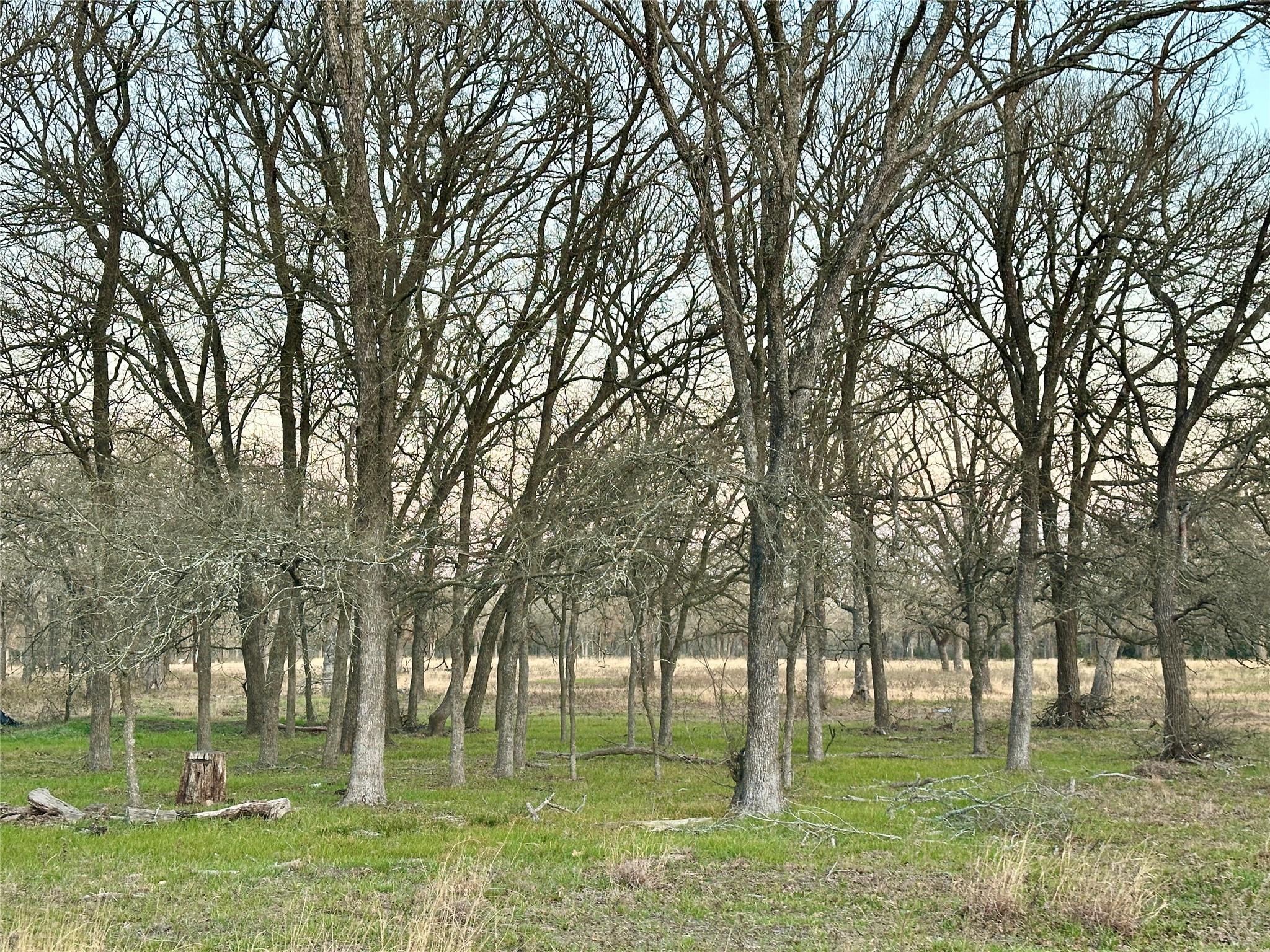 TBD CR 118 Rd, Giddings, TX 78942