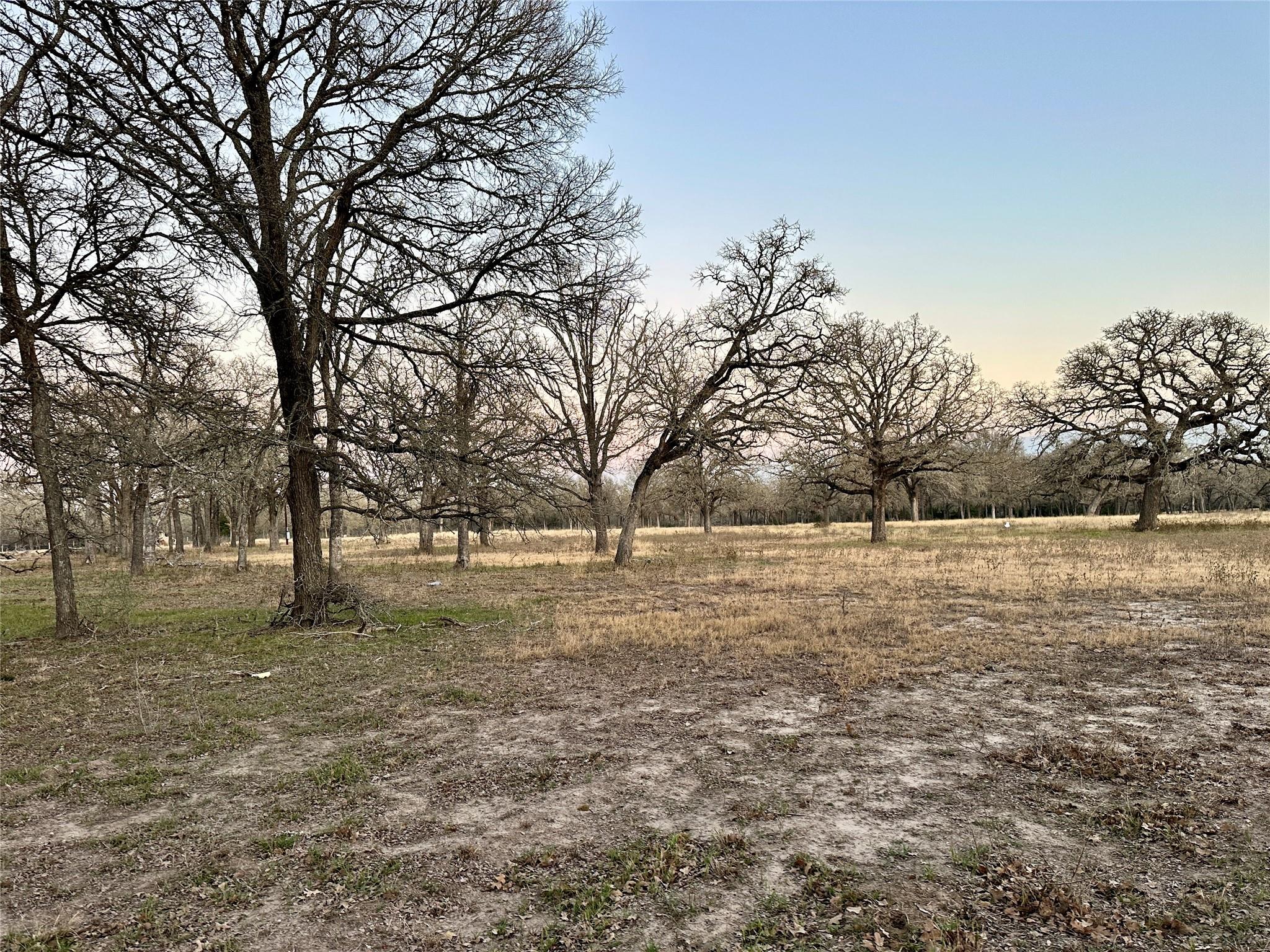 TBD CR 118 Rd, Giddings, TX 78942