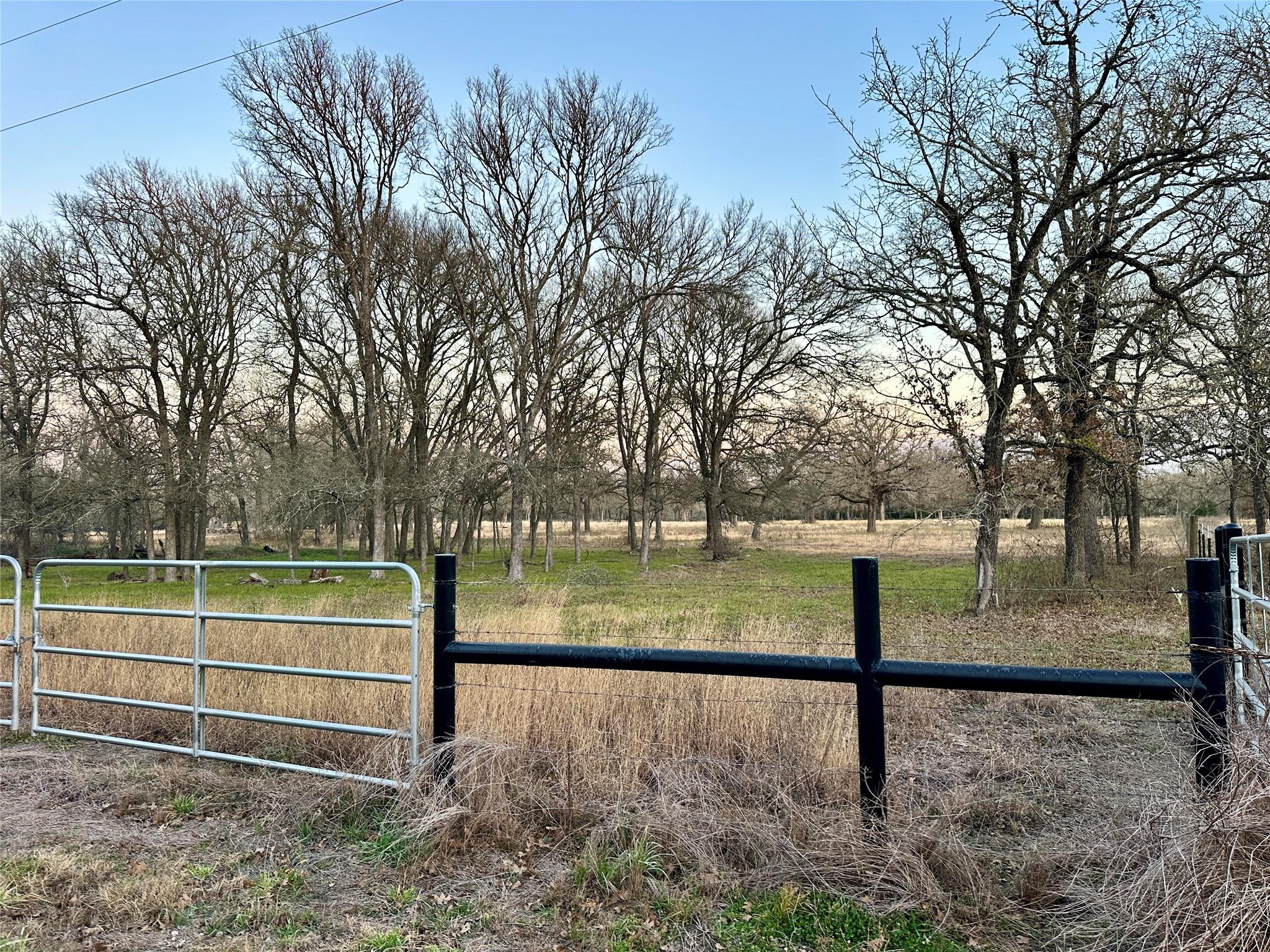 TBD CR 118 Rd, Giddings, TX 78942