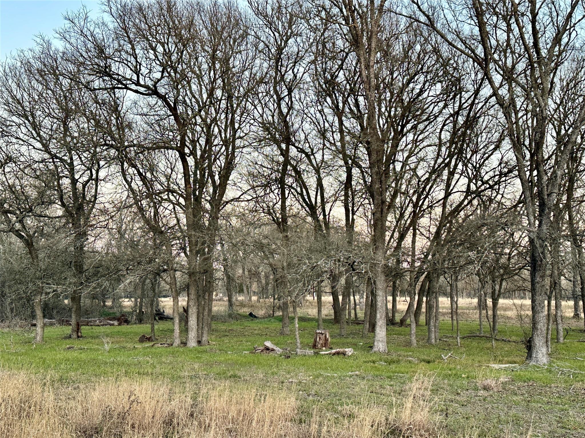 TBD CR 118 Rd, Giddings, TX 78942