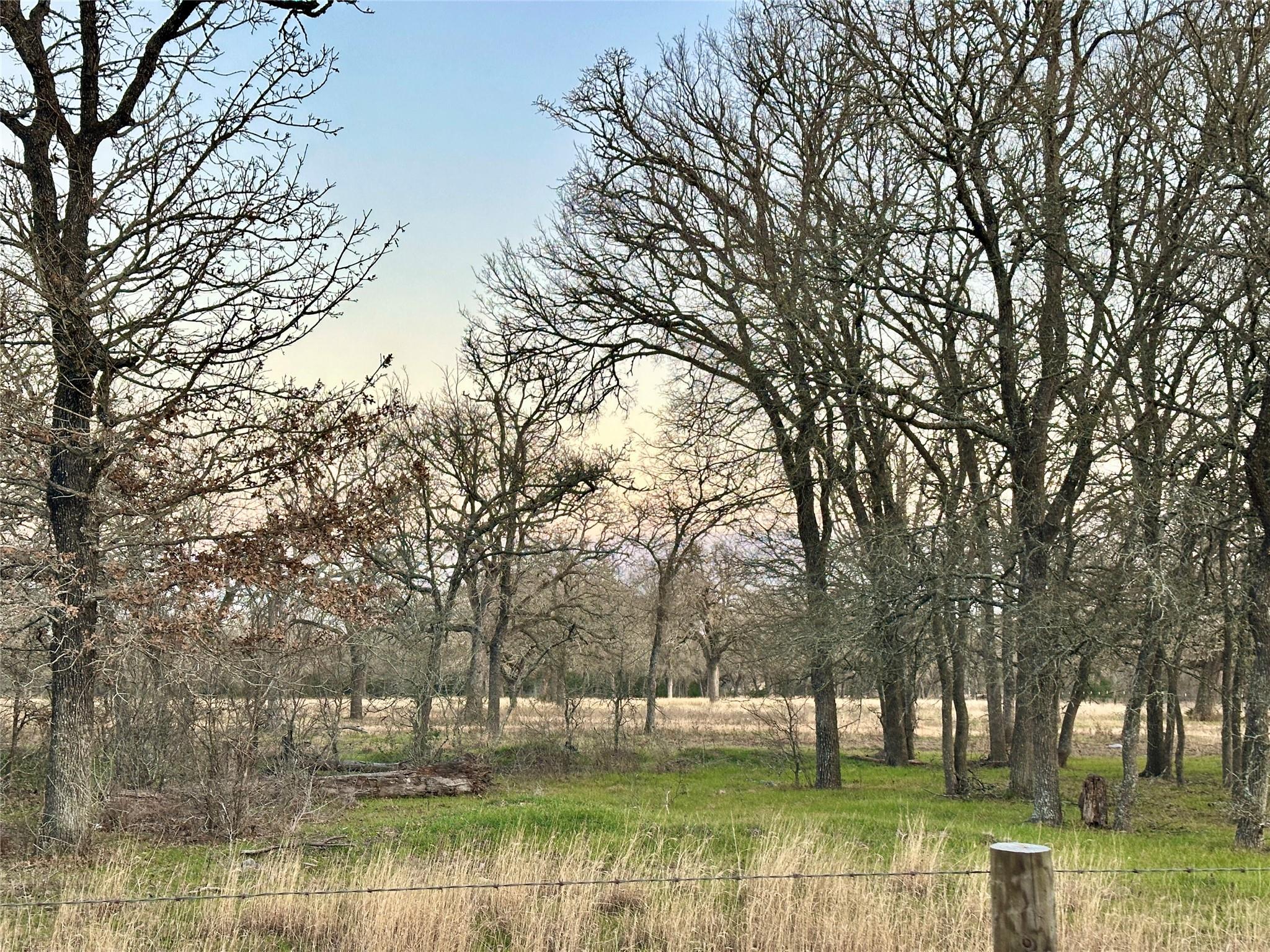 TBD CR 118 Rd, Giddings, TX 78942