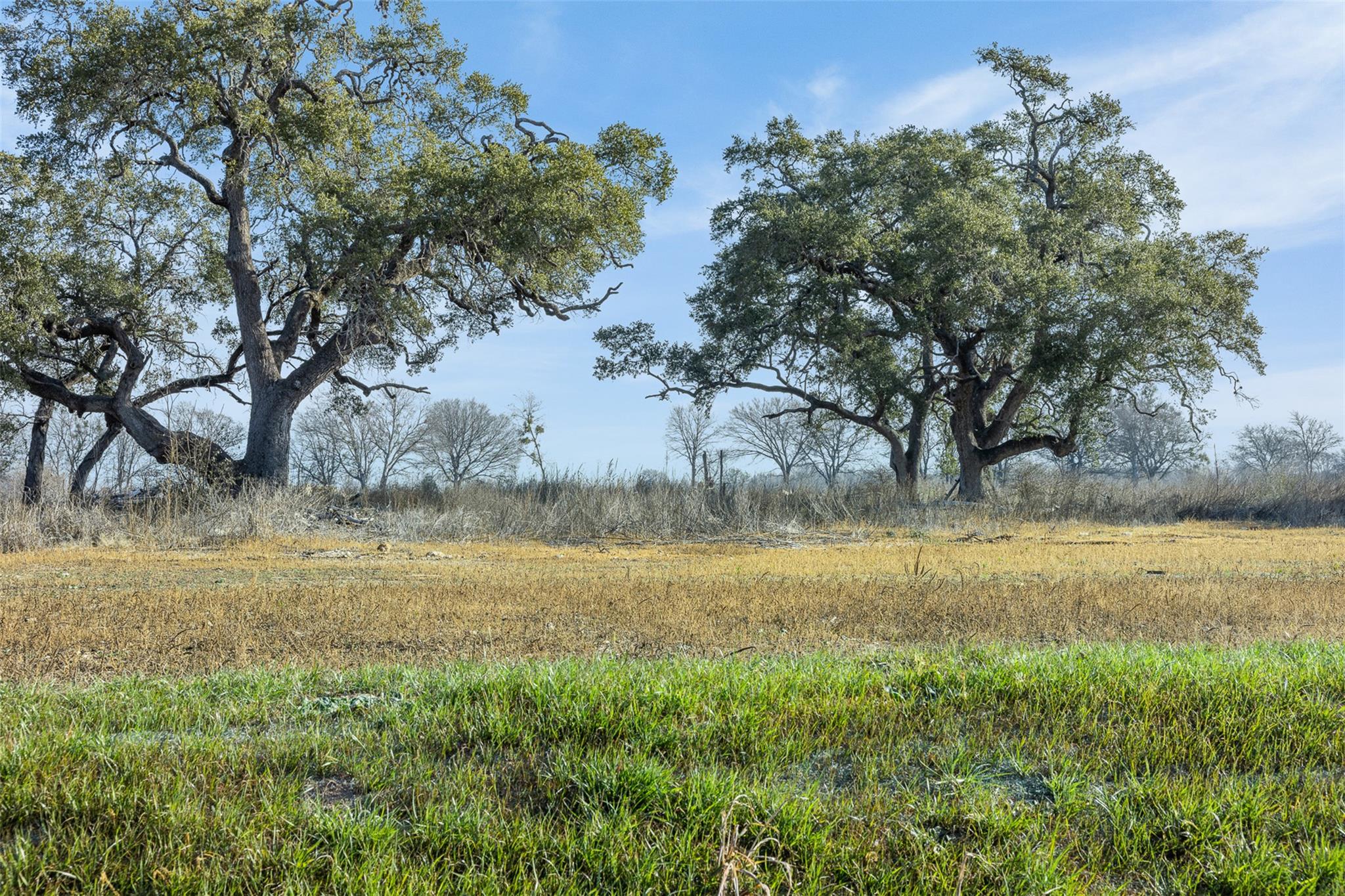 598 NW River Rd, Martindale, TX 78655