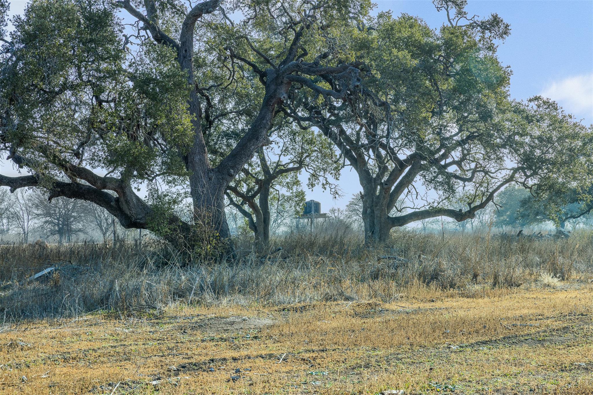 598 NW River Rd, Martindale, TX 78655