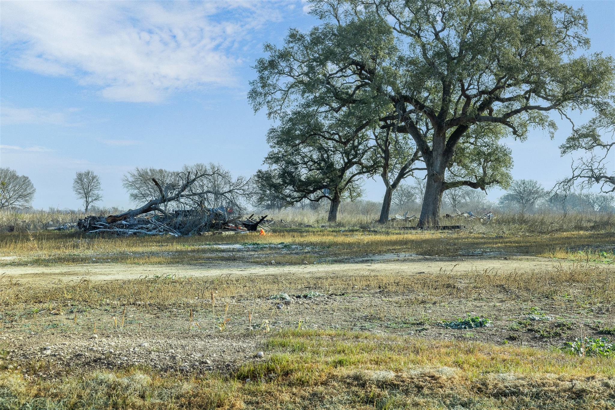 598 NW River Rd, Martindale, TX 78655