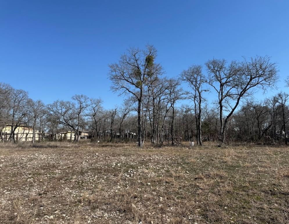 121 Pink Dahlia Dr, Dale, TX 78616