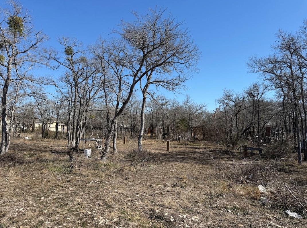 121 Pink Dahlia Dr, Dale, TX 78616