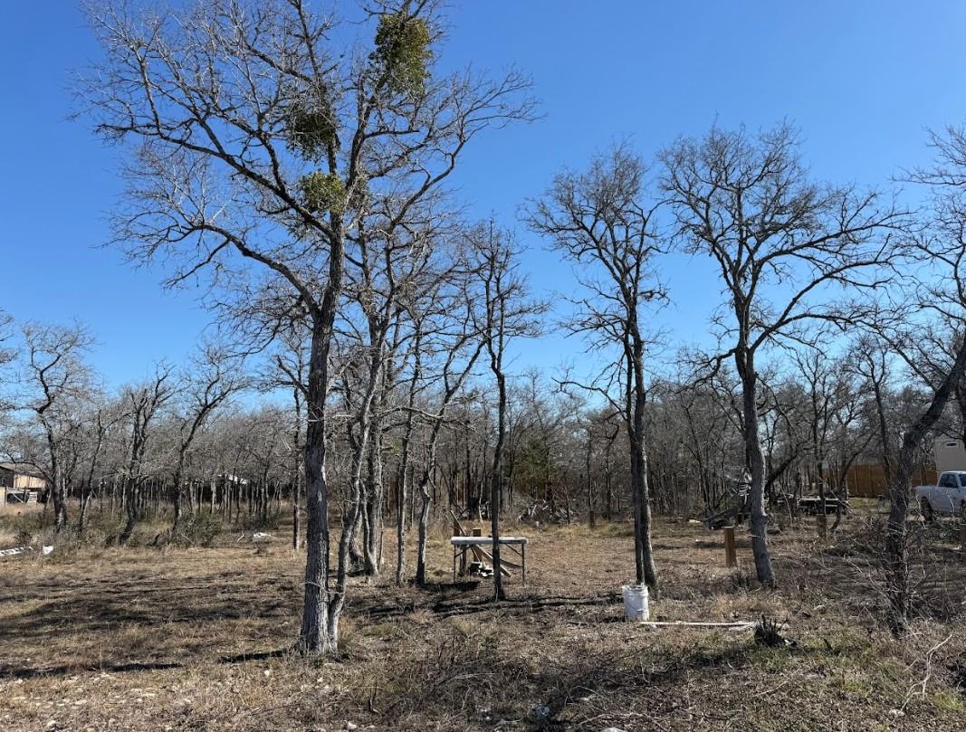 121 Pink Dahlia Dr, Dale, TX 78616