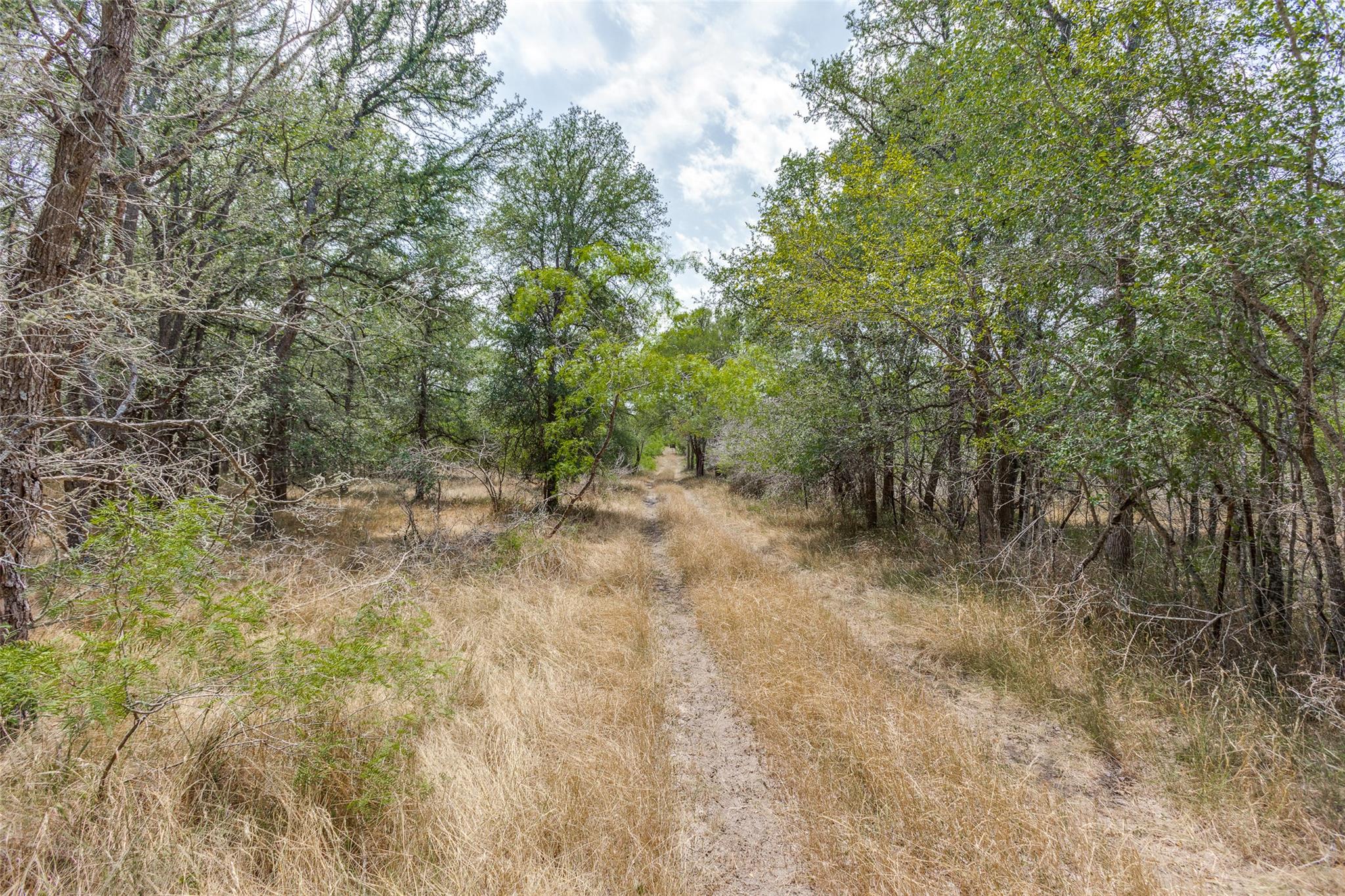 9557 Fm 86, Lockhart, TX 78644