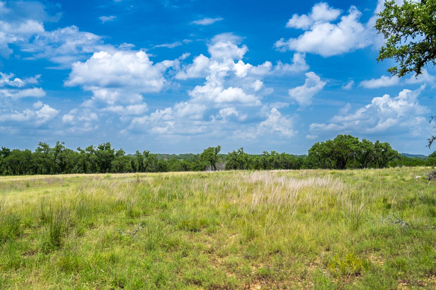 3979 Chimney Valley Rd, Blanco, TX 78606