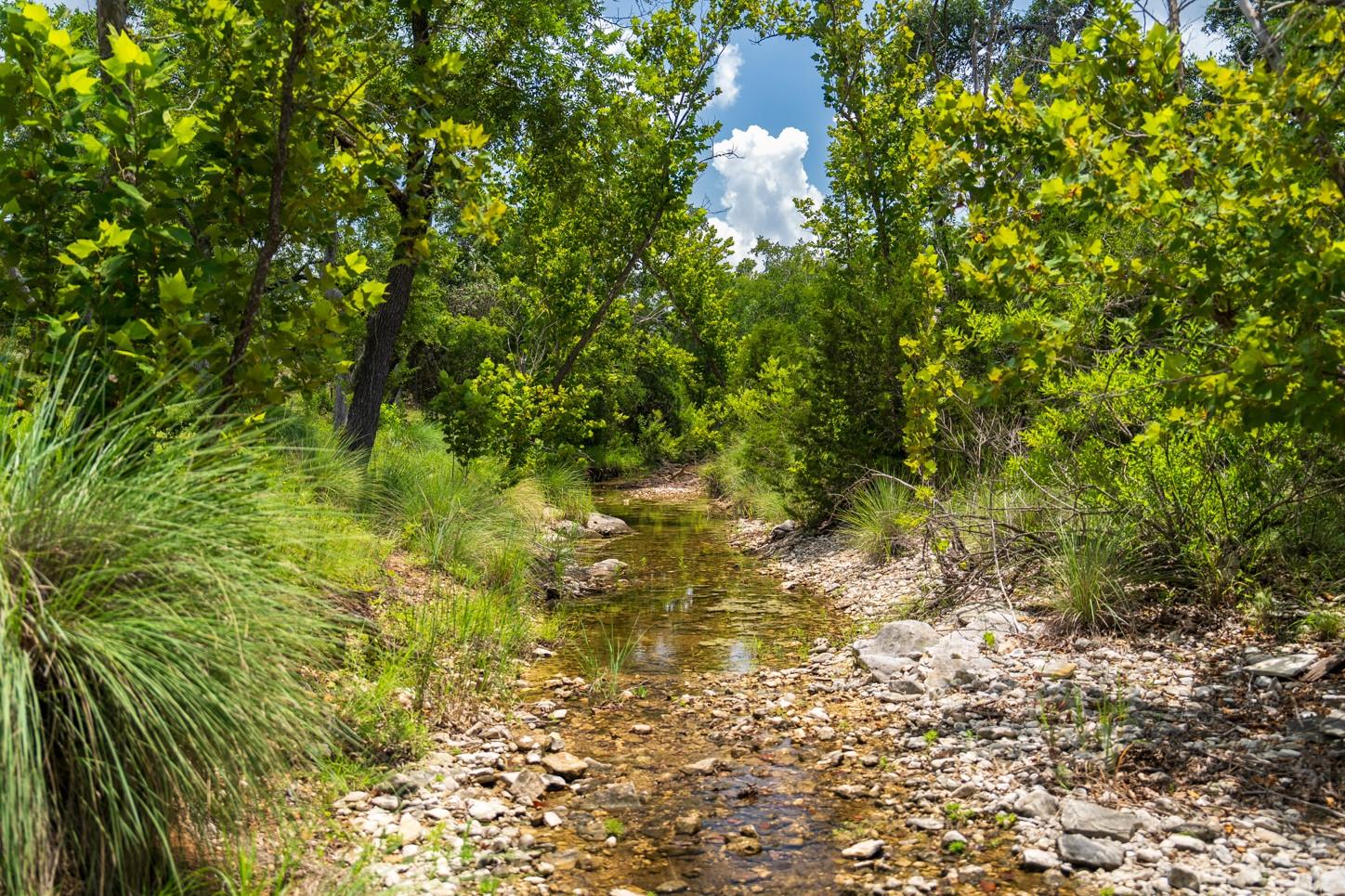 3979 Chimney Valley Rd, Blanco, TX 78606