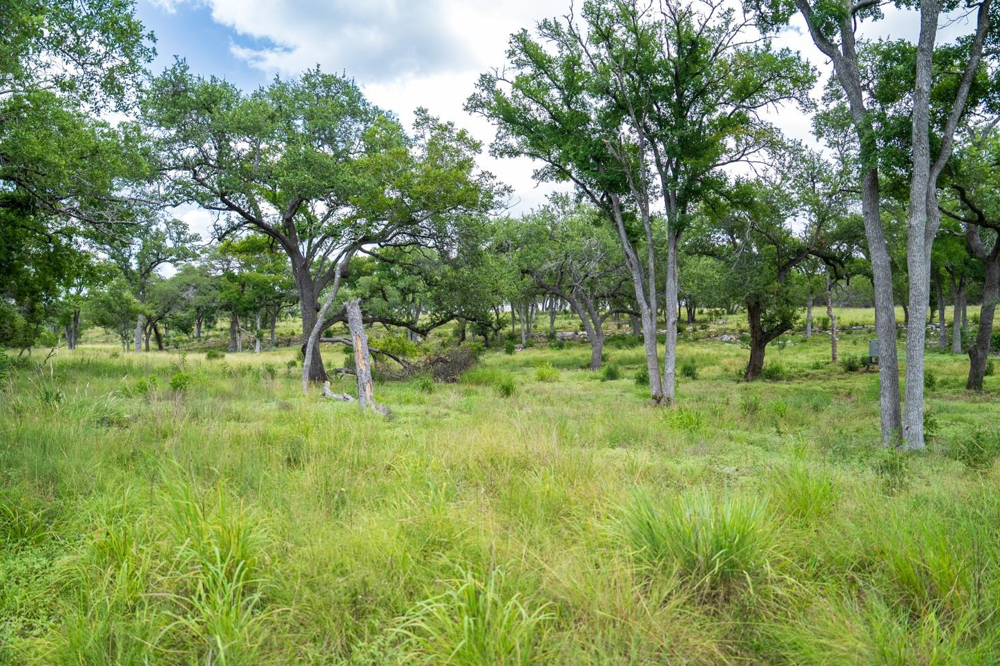 3979 Chimney Valley Rd, Blanco, TX 78606