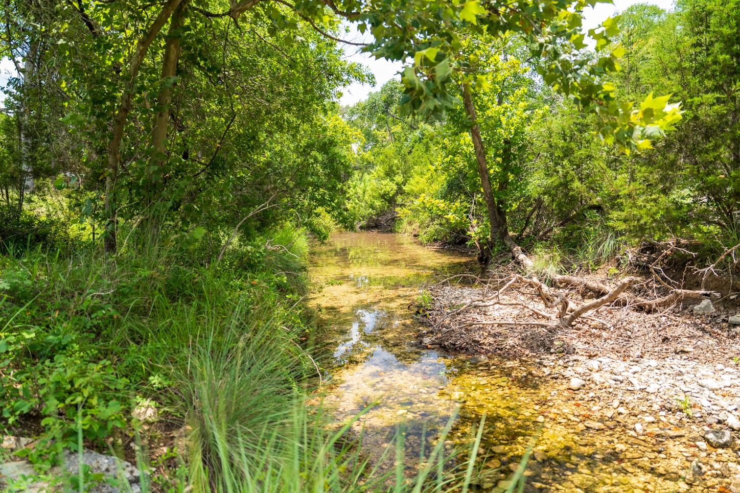 3979 Chimney Valley Rd, Blanco, TX 78606