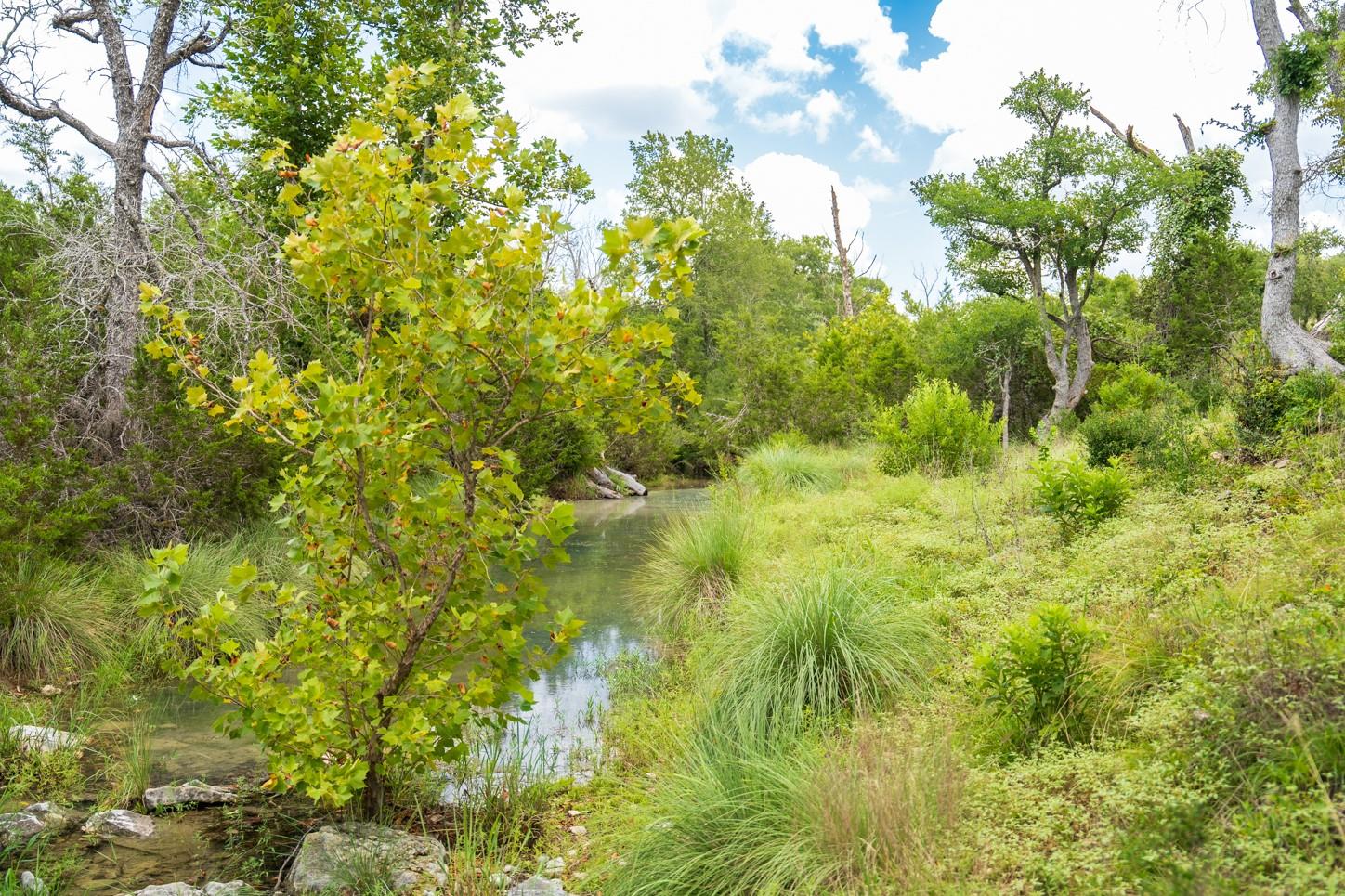 3979 Chimney Valley Rd, Blanco, TX 78606