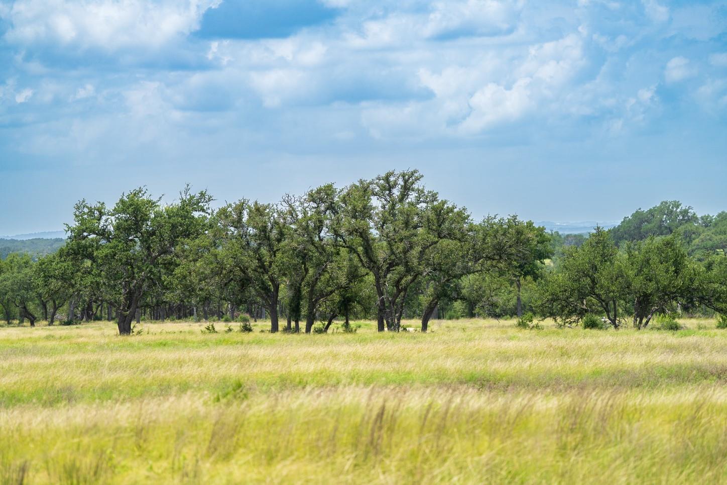 3979 Chimney Valley Rd, Blanco, TX 78606