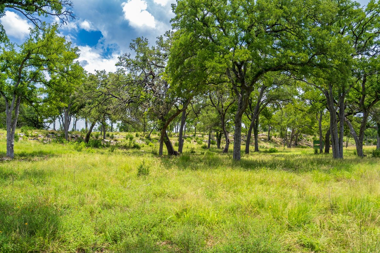 3979 Chimney Valley Rd, Blanco, TX 78606