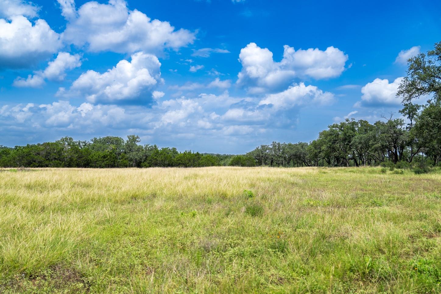 3979 Chimney Valley Rd, Blanco, TX 78606