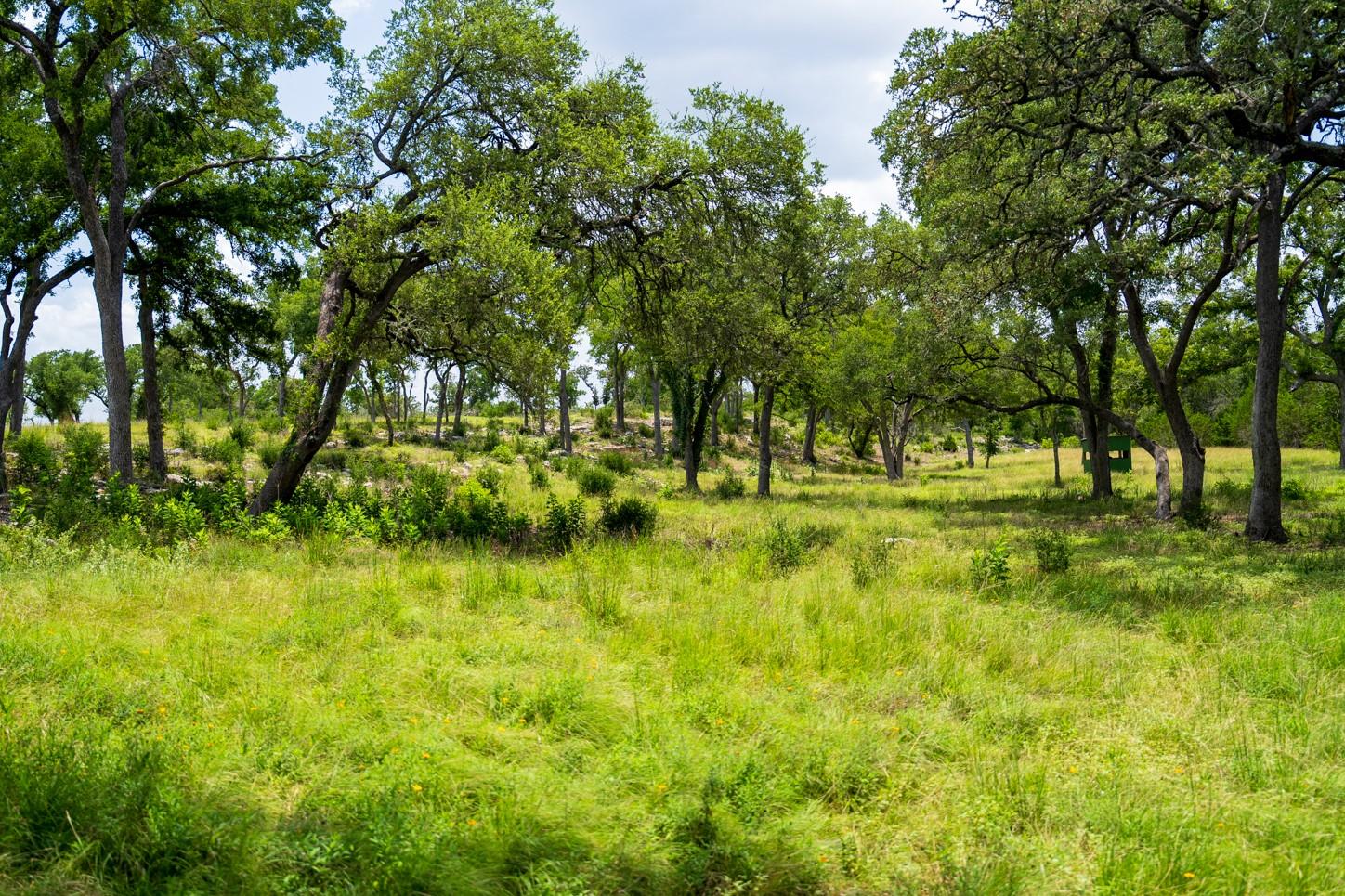3979 Chimney Valley Rd, Blanco, TX 78606