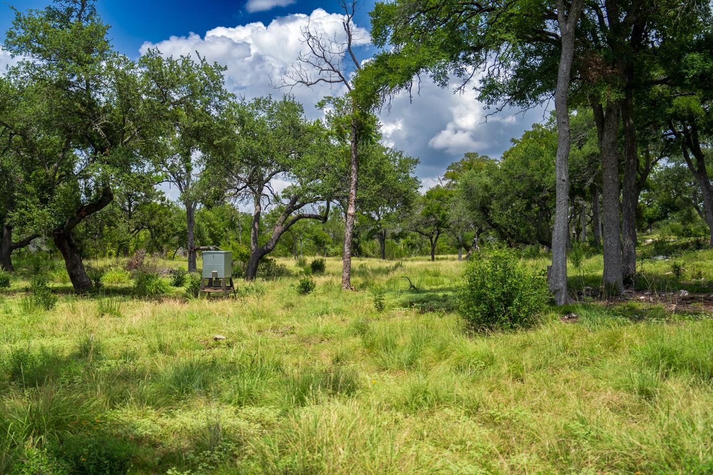 3979 Chimney Valley Rd, Blanco, TX 78606