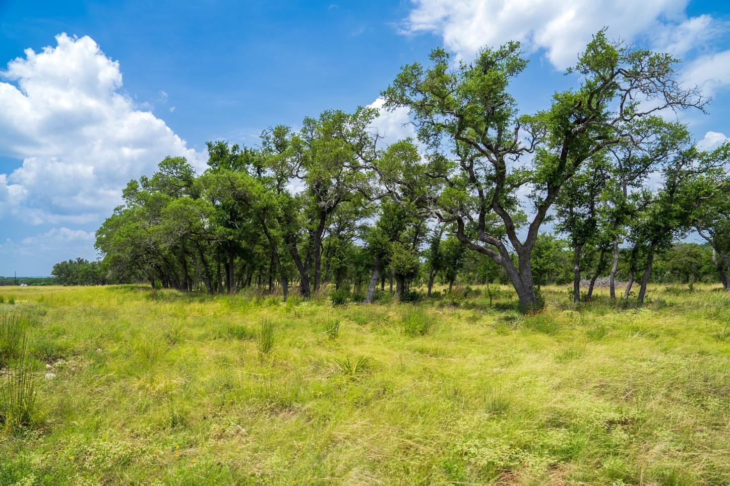 3979 Chimney Valley Rd, Blanco, TX 78606