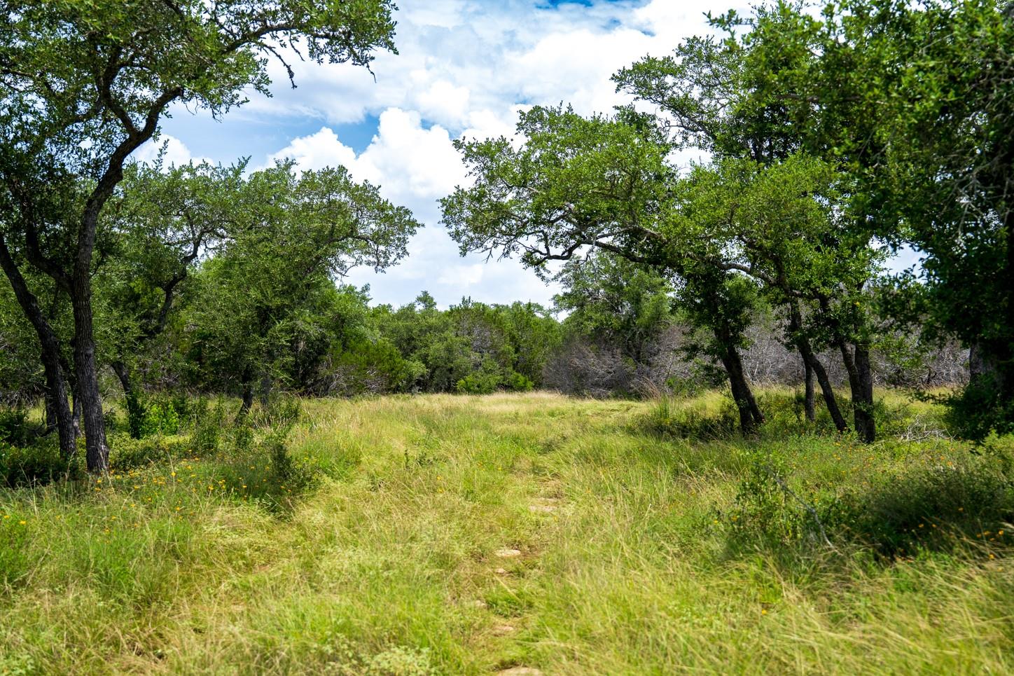 3979 Chimney Valley Rd, Blanco, TX 78606