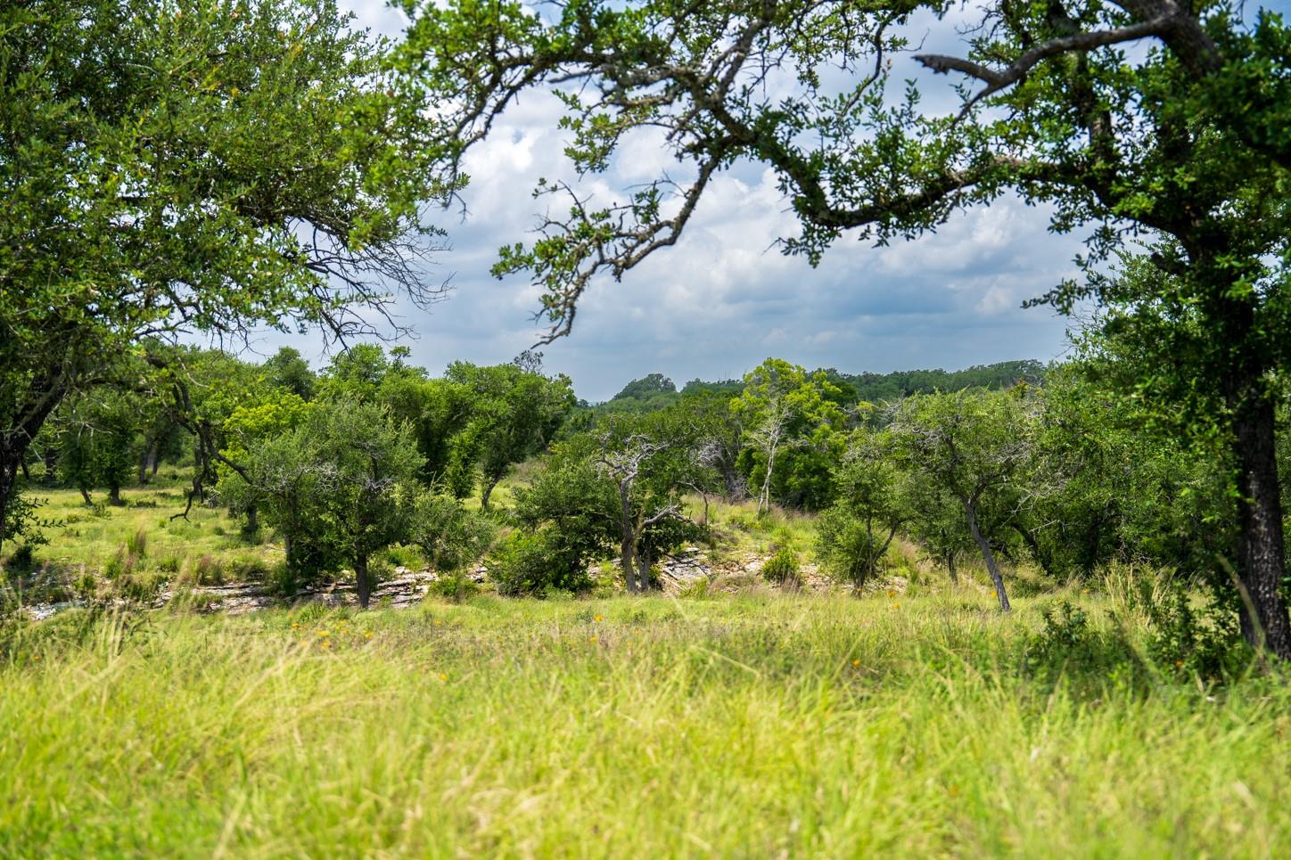 3979 Chimney Valley Rd, Blanco, TX 78606