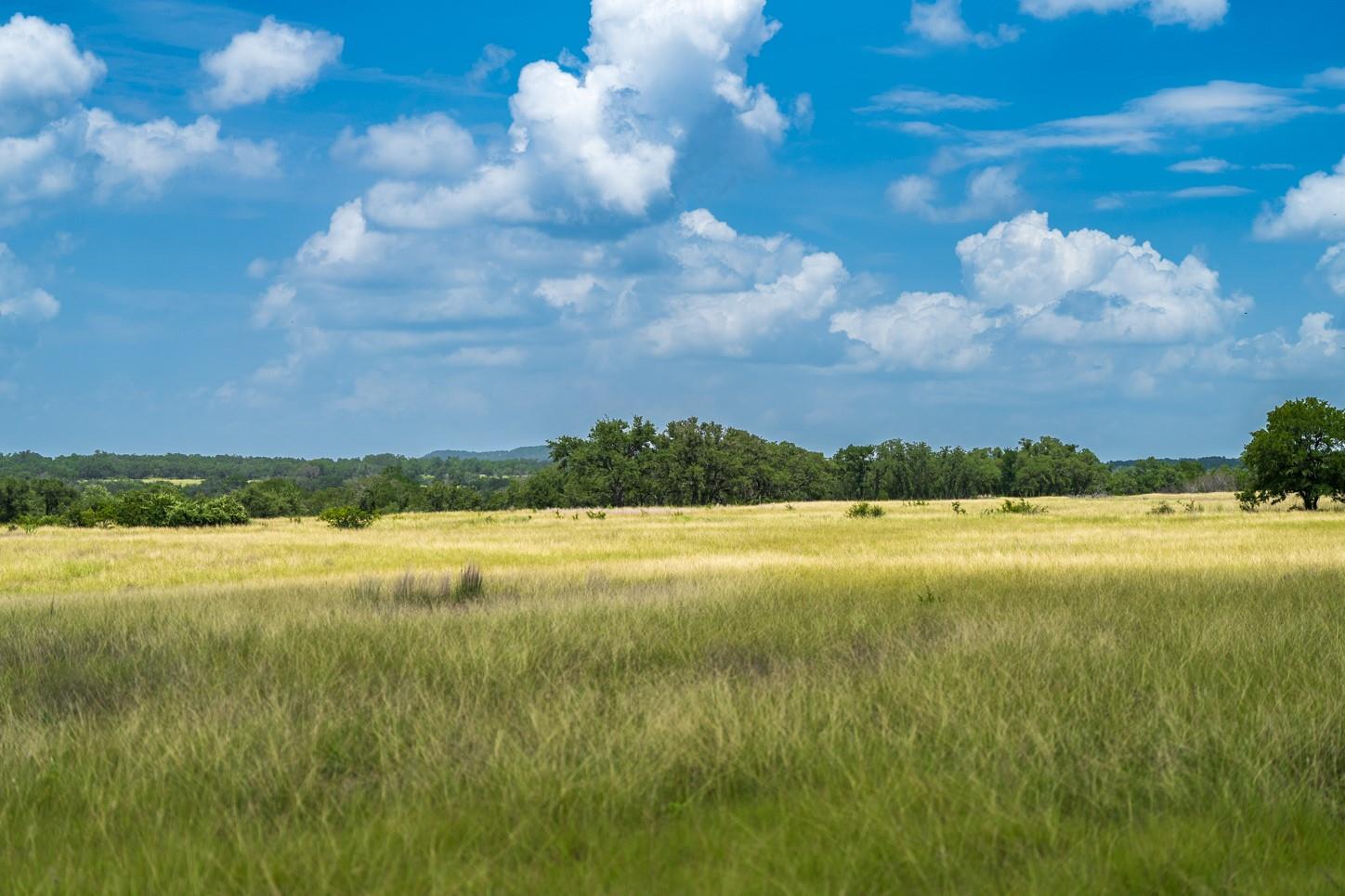 3979 Chimney Valley Rd, Blanco, TX 78606