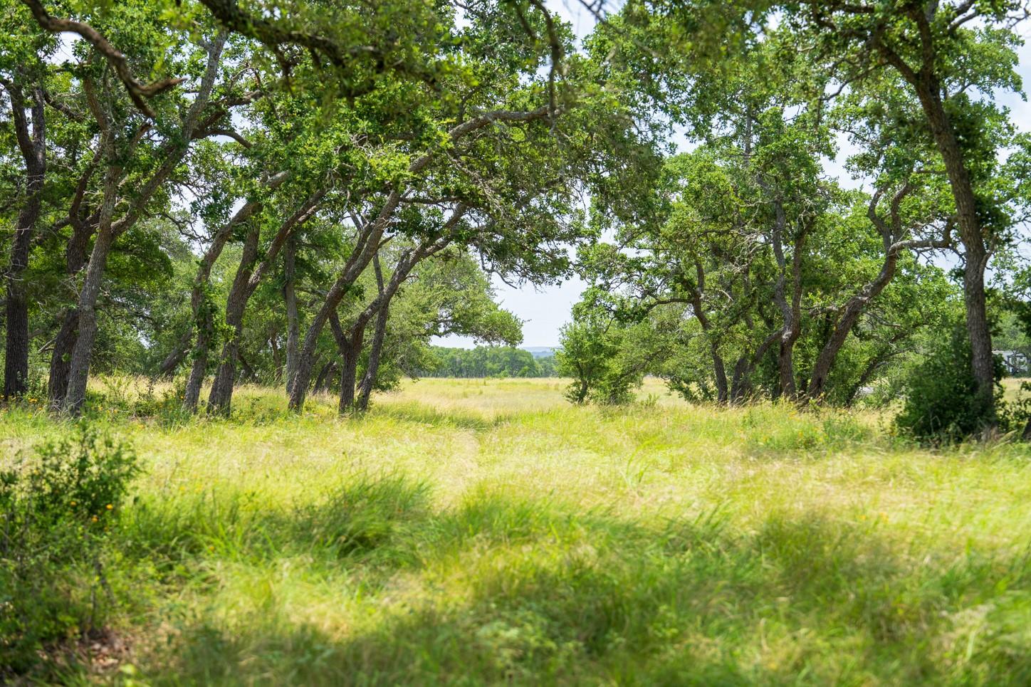 3979 Chimney Valley Rd, Blanco, TX 78606