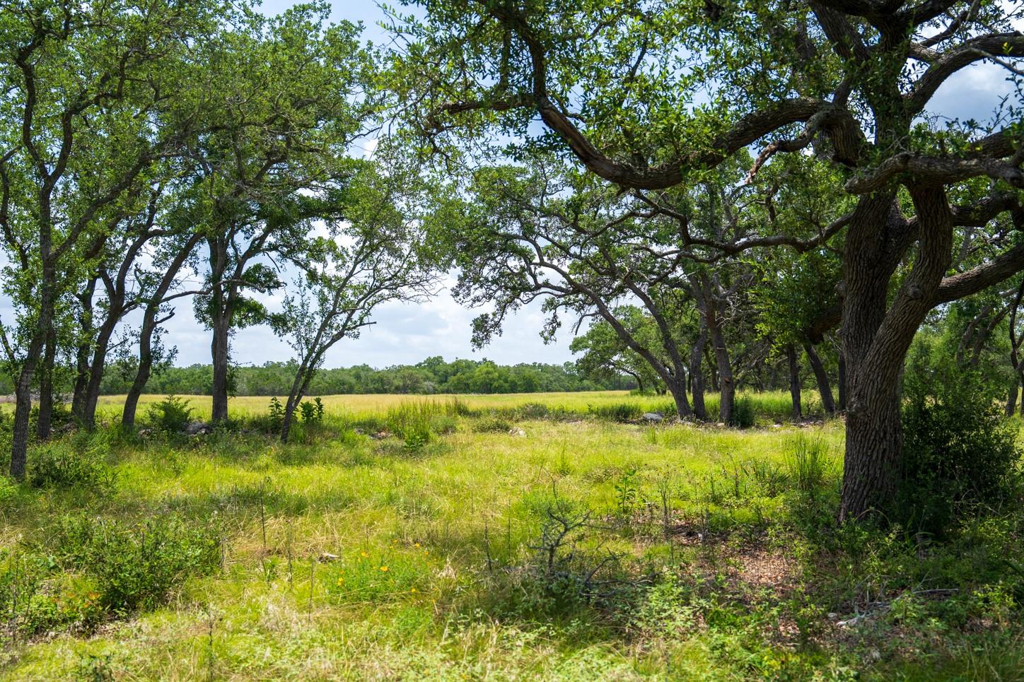3979 Chimney Valley Rd, Blanco, TX 78606