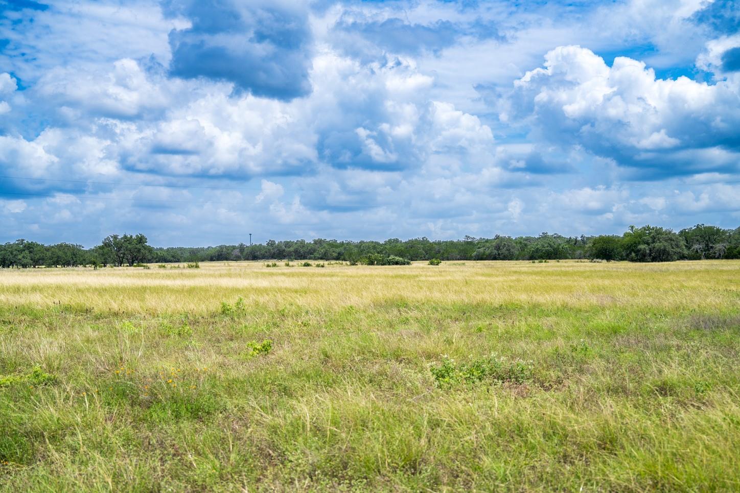 3979 Chimney Valley Rd, Blanco, TX 78606