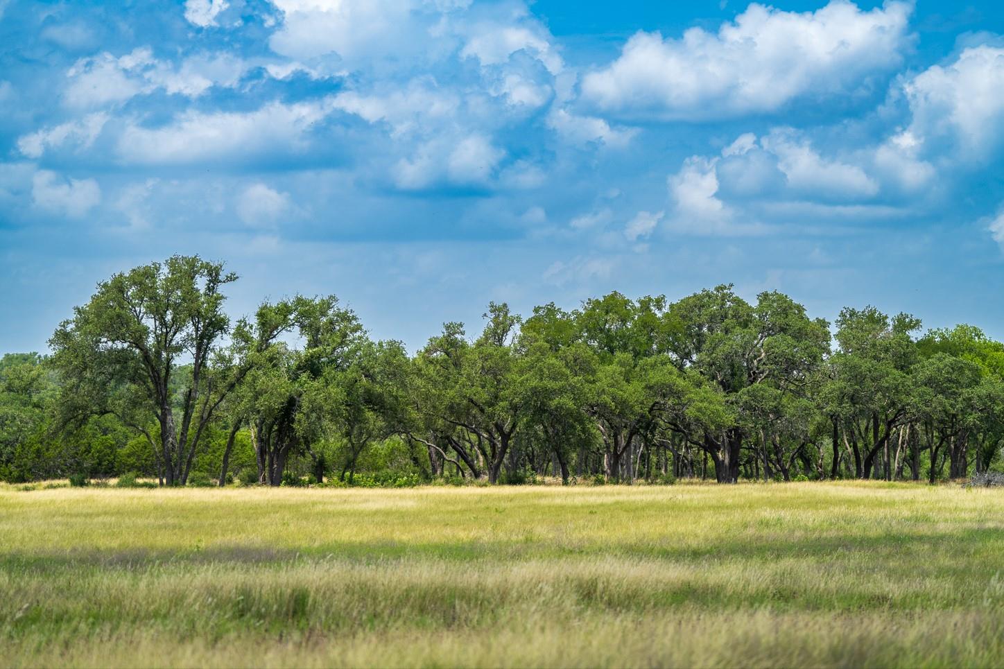 3979 Chimney Valley Rd, Blanco, TX 78606