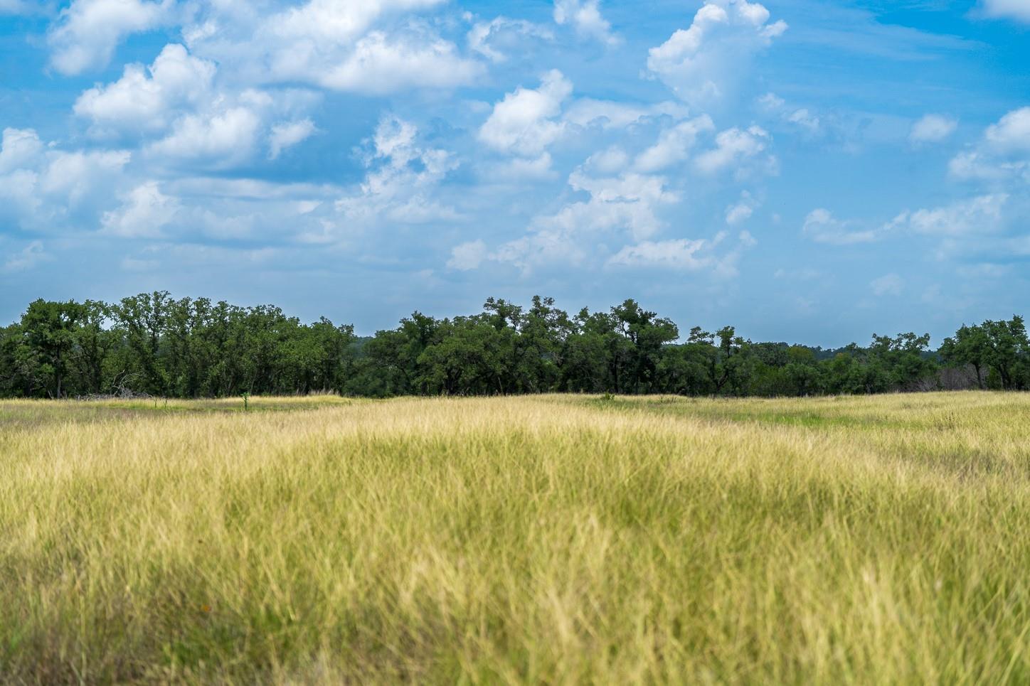 3979 Chimney Valley Rd, Blanco, TX 78606