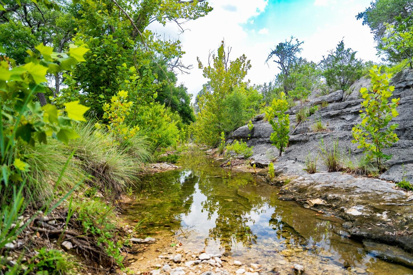 3979 Chimney Valley Rd, Blanco, TX 78606