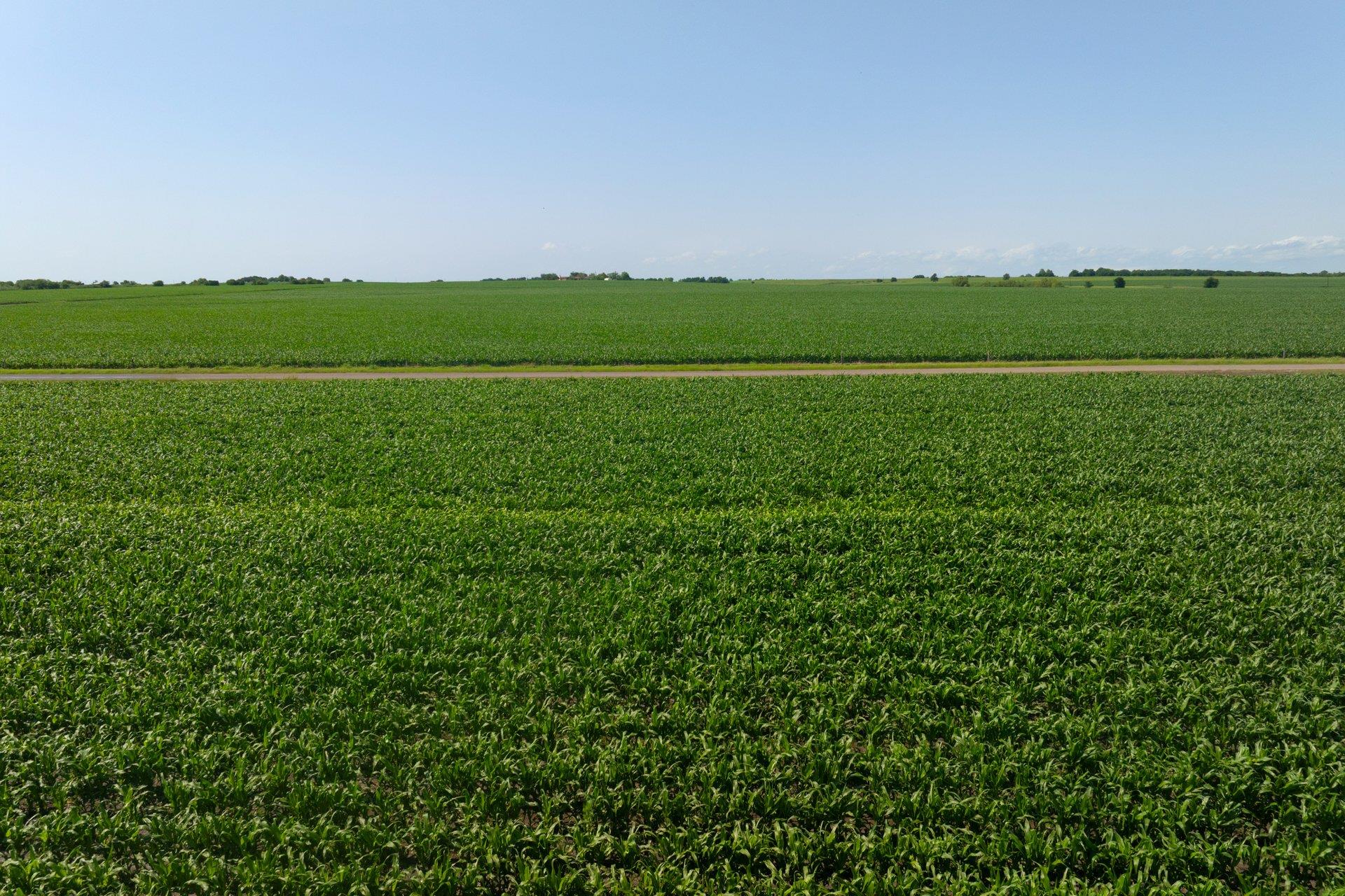 2866 County Road 425, Thorndale, TX 76577