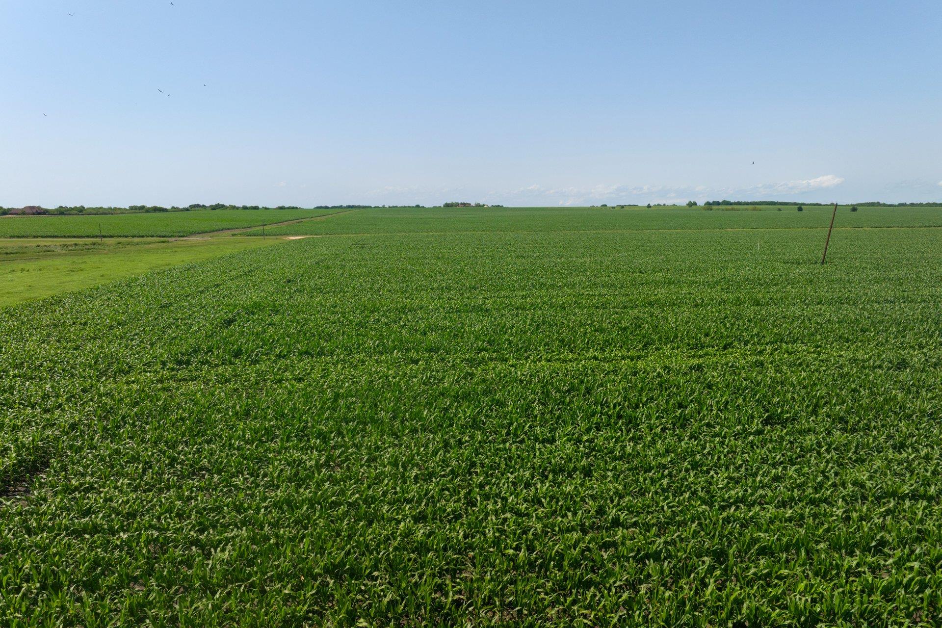 2866 County Road 425, Thorndale, TX 76577