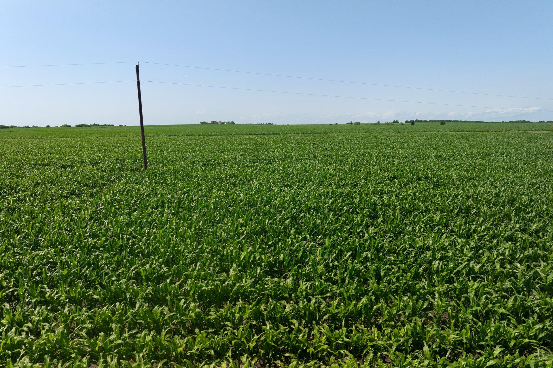 2866 County Road 425, Thorndale, TX 76577