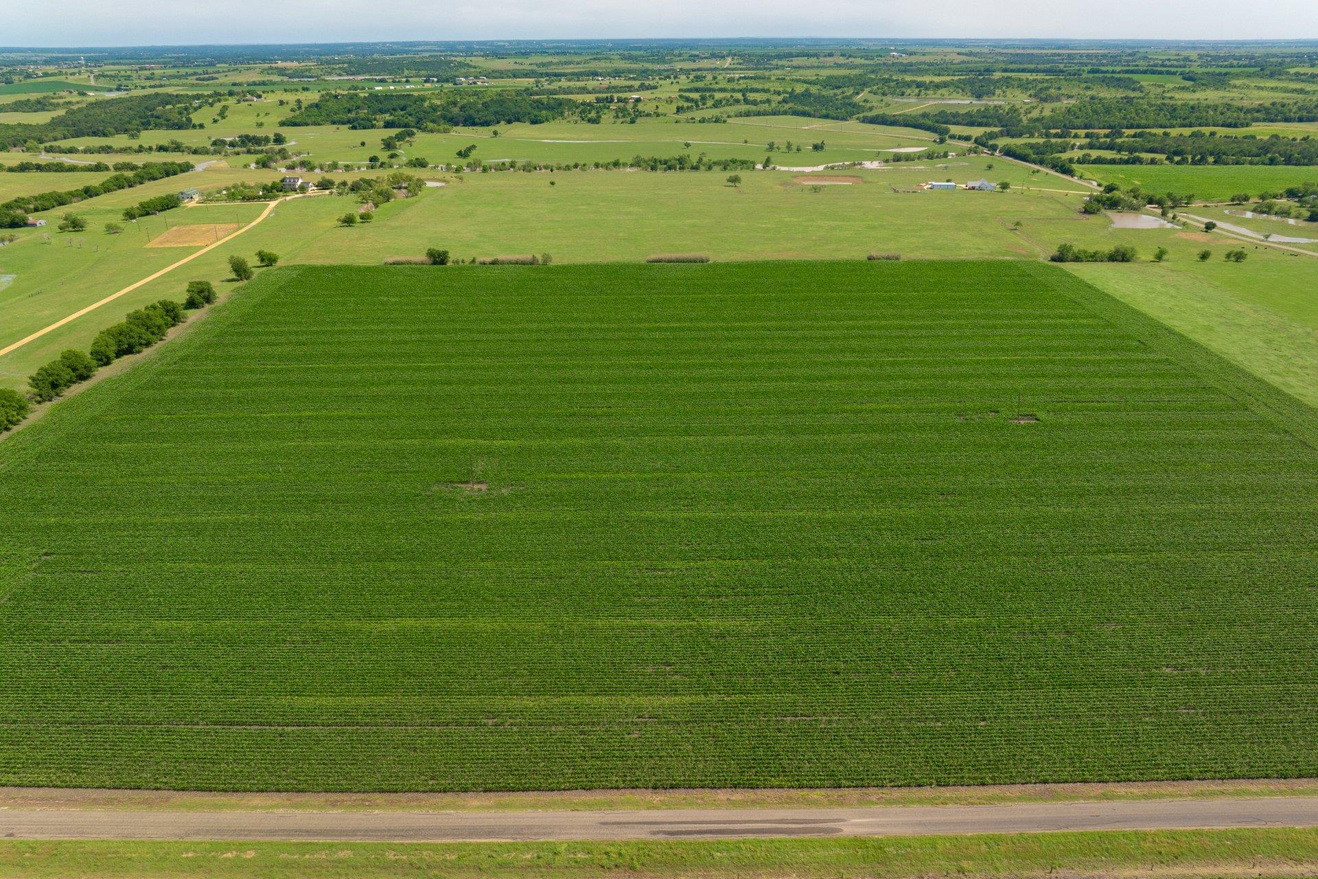 2866 County Road 425, Thorndale, TX 76577