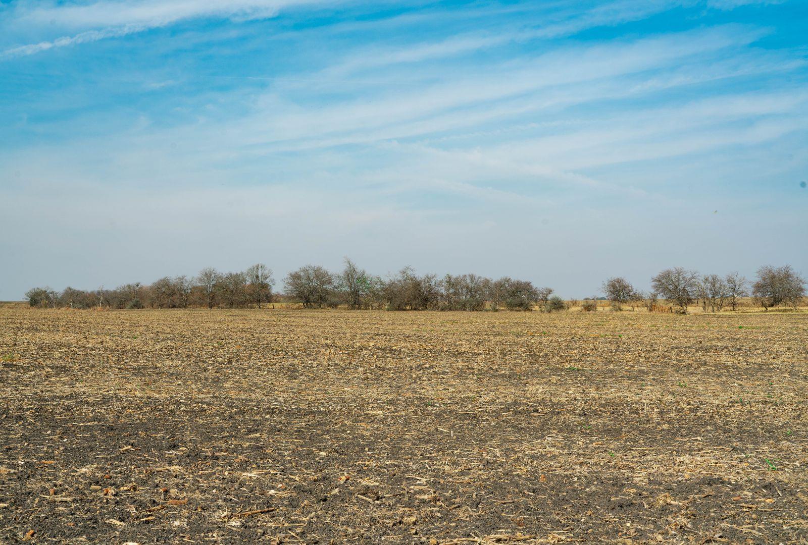 18402 Manda Carlson Rd, Coupland, TX 78615