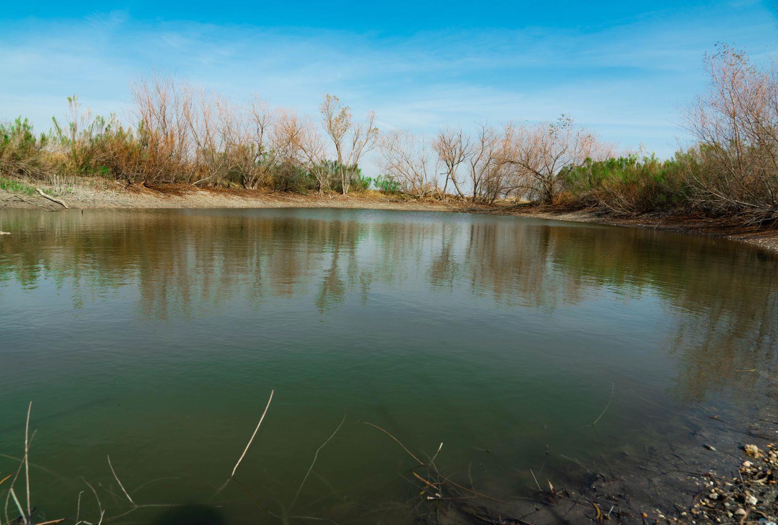 18402 Manda Carlson Rd, Coupland, TX 78615