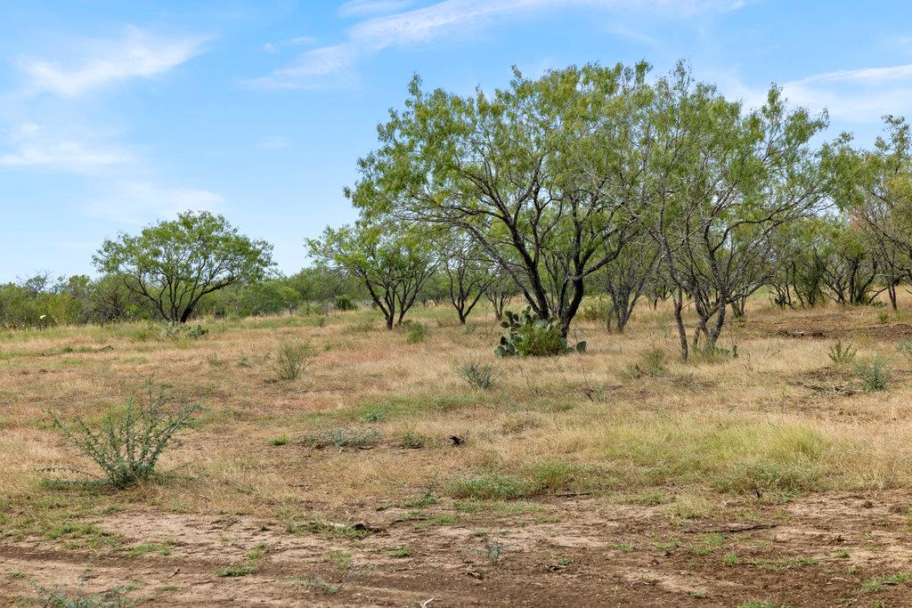 5 CR 171, Nixon, TX 78140