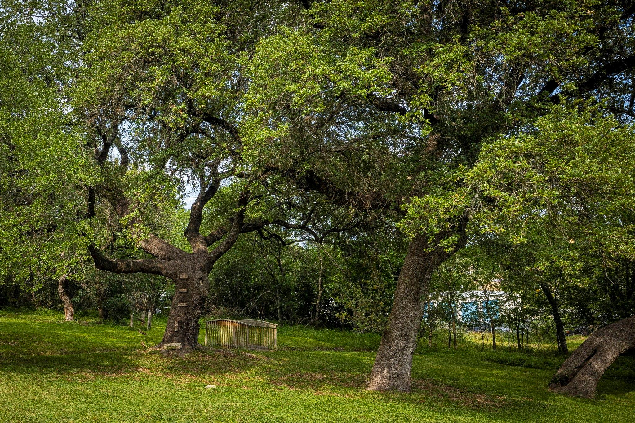 110 Hunter Ridge Rd, San Marcos, TX 78666