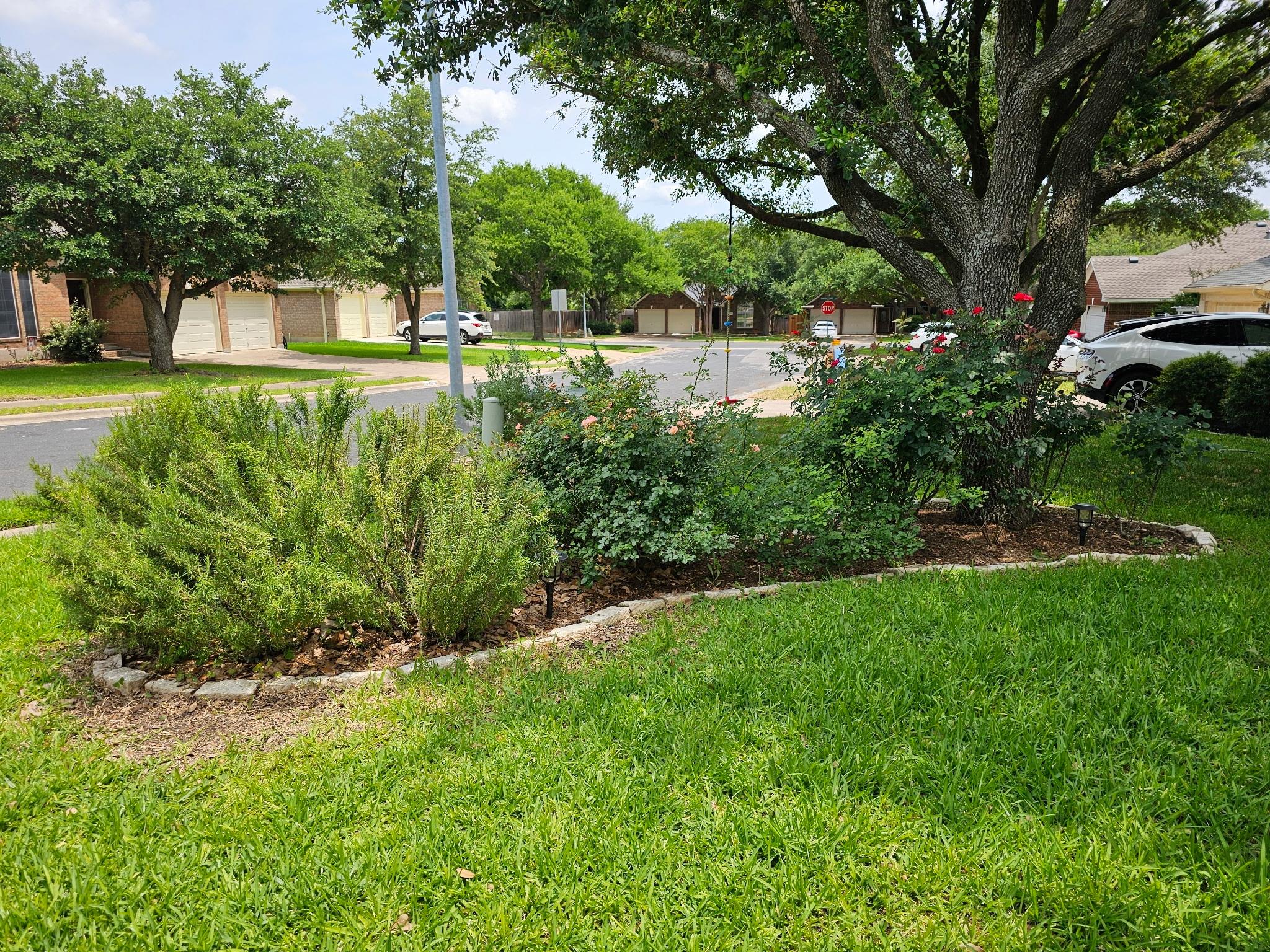 13208 Calf Roping Trl, Austin, TX 78727