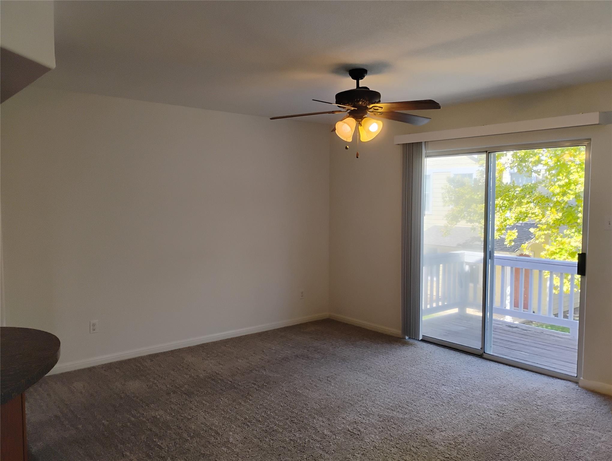 254 Trestle Tree, San Marcos, TX 78666