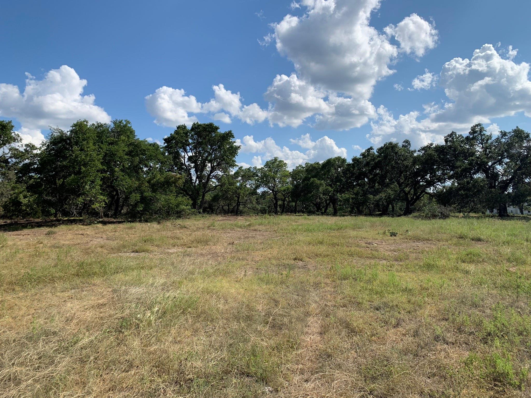 Lot 14 Legacy Hills Dr, Johnson City, TX 78636