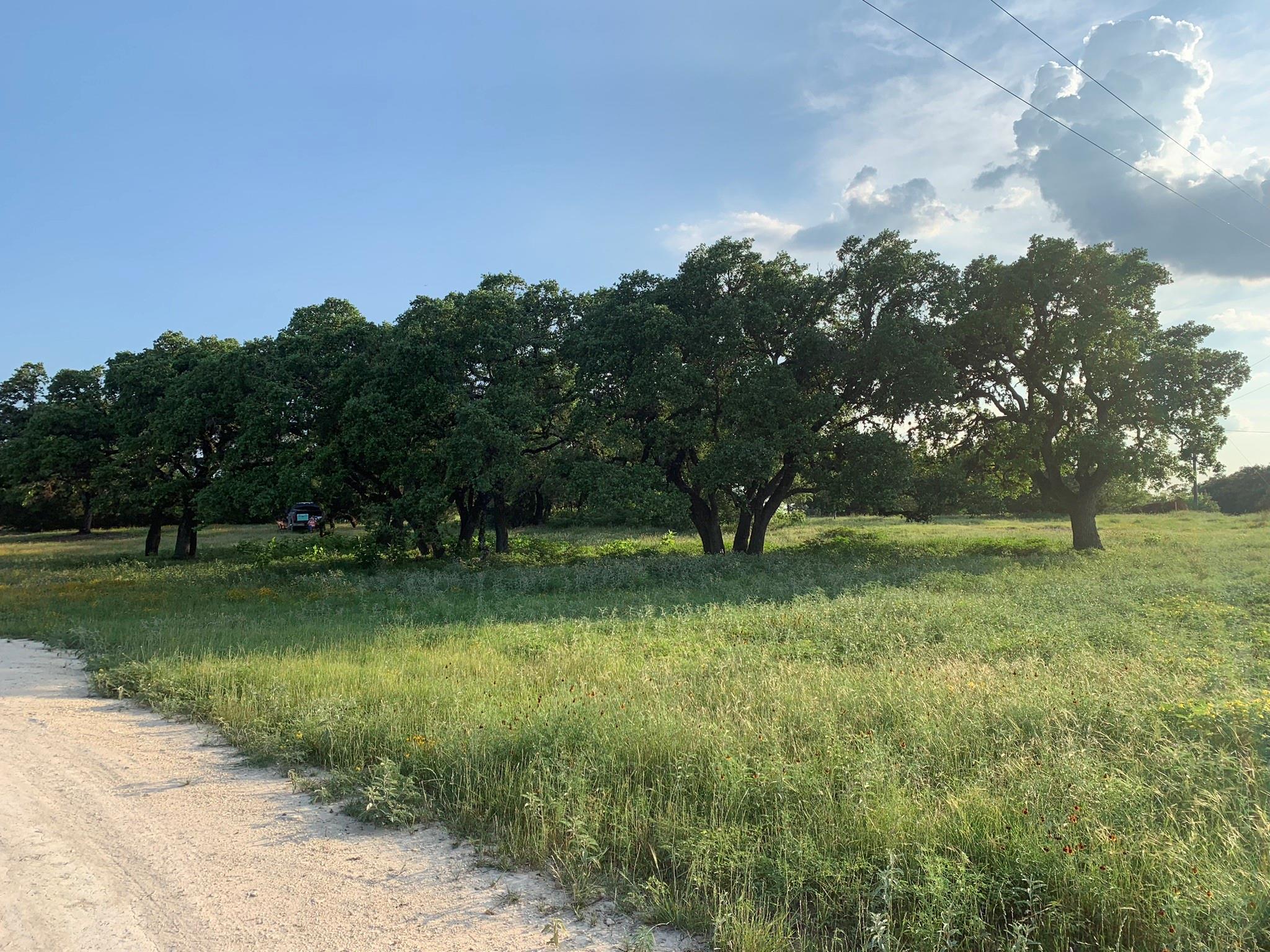 Lot 14 Legacy Hills Dr, Johnson City, TX 78636