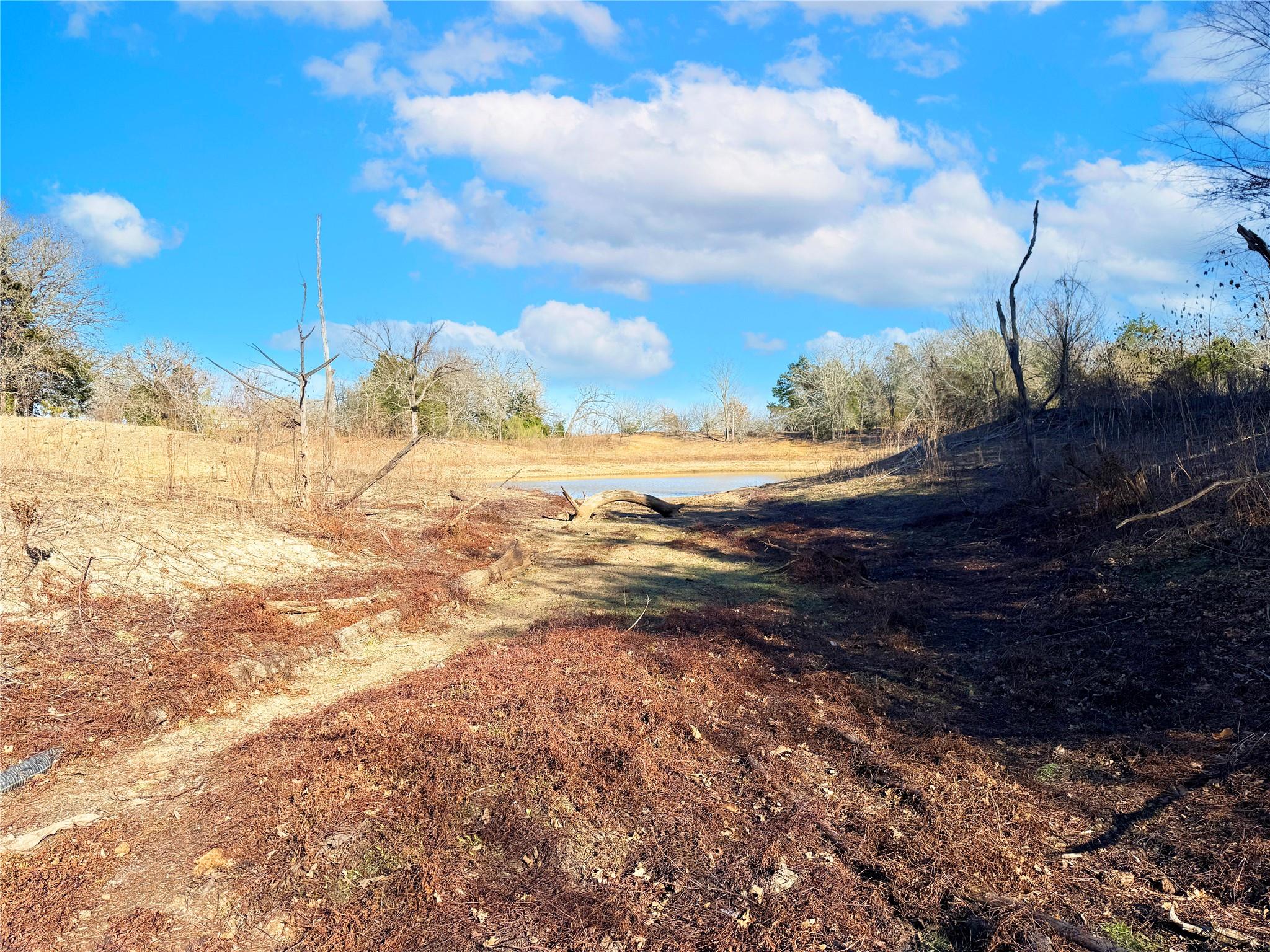 0000 FM 2336, McDade, TX 78650