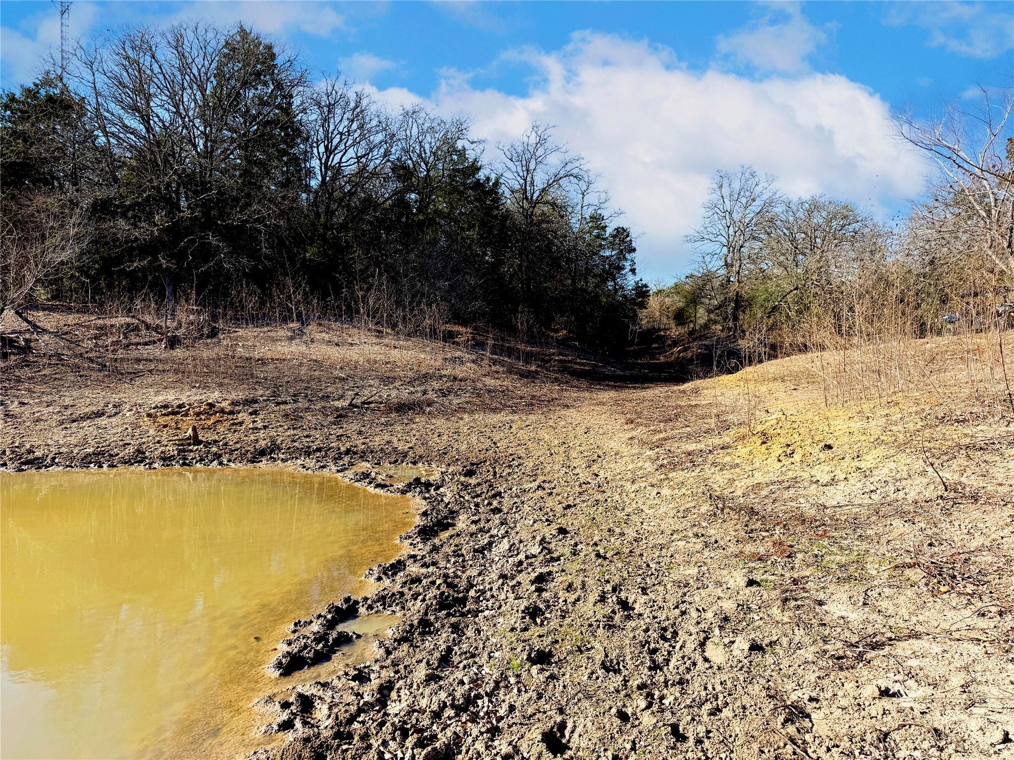 0000 FM 2336, McDade, TX 78650