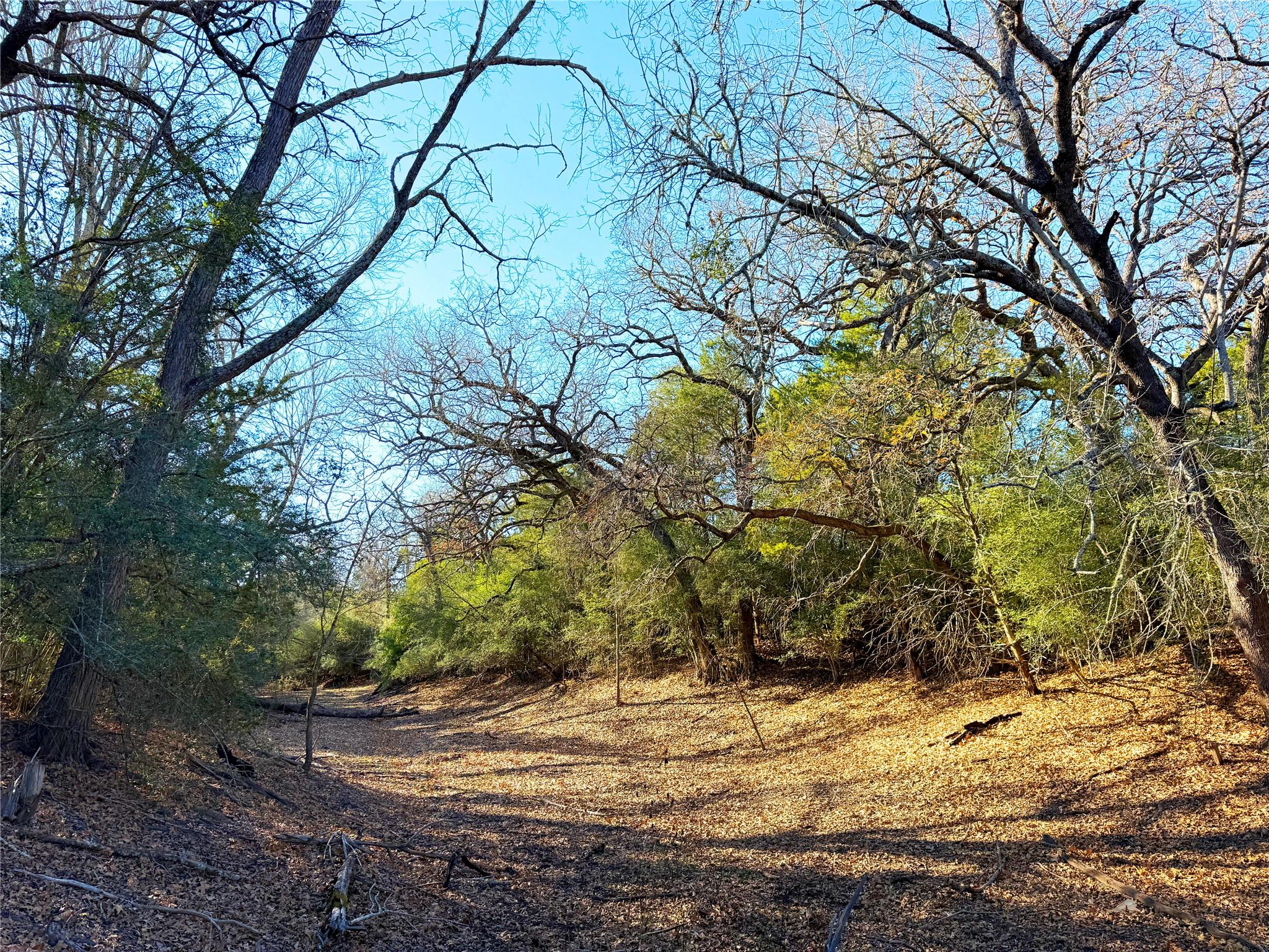 0000 FM 2336, McDade, TX 78650