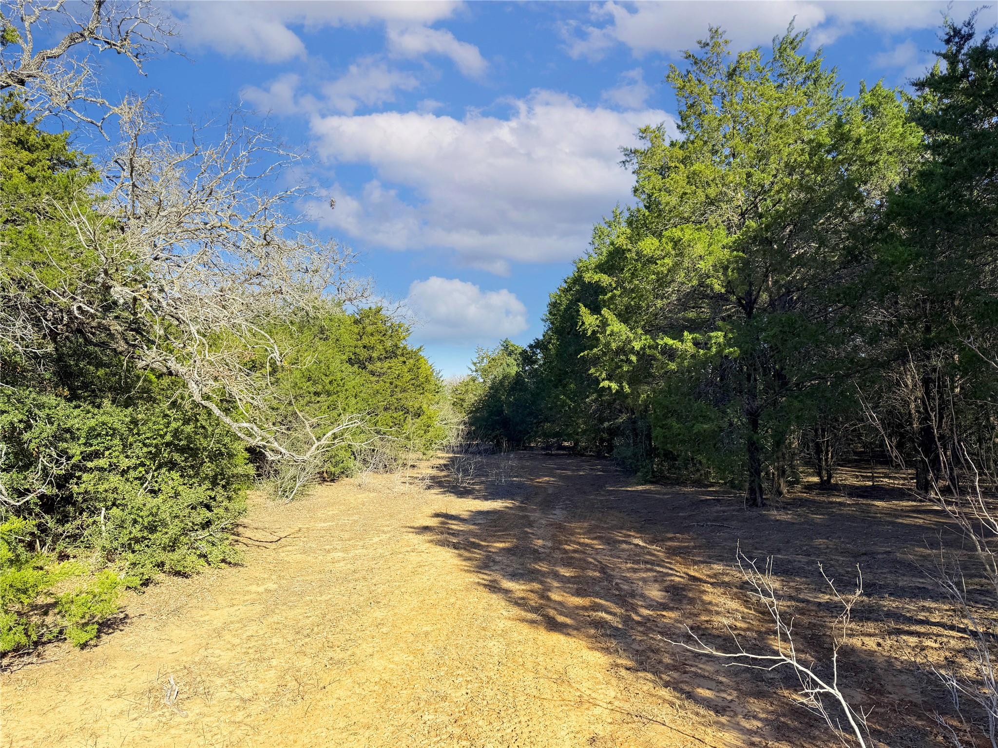 0000 FM 2336, McDade, TX 78650